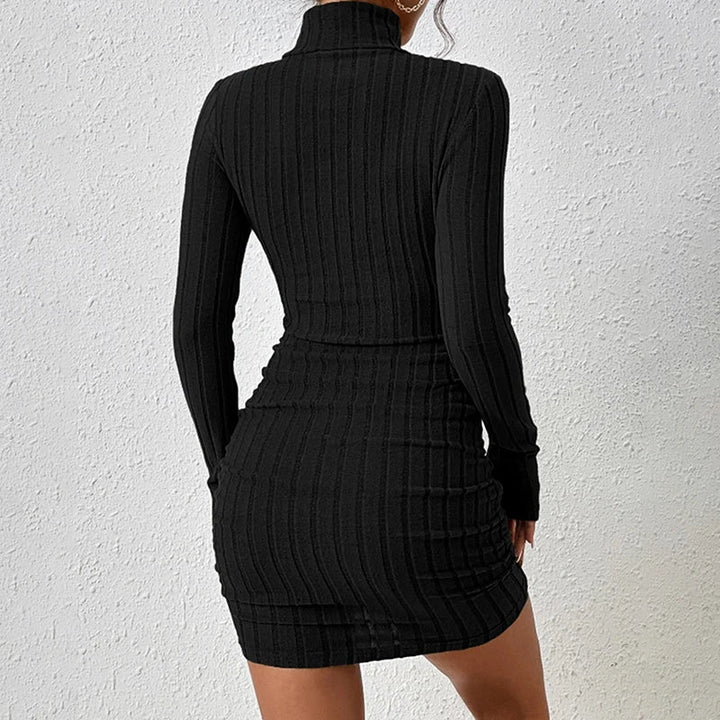 Courtney | Sleek Ribbed Turtleneck Dress