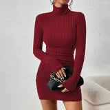 Courtney | Sleek Ribbed Turtleneck Dress